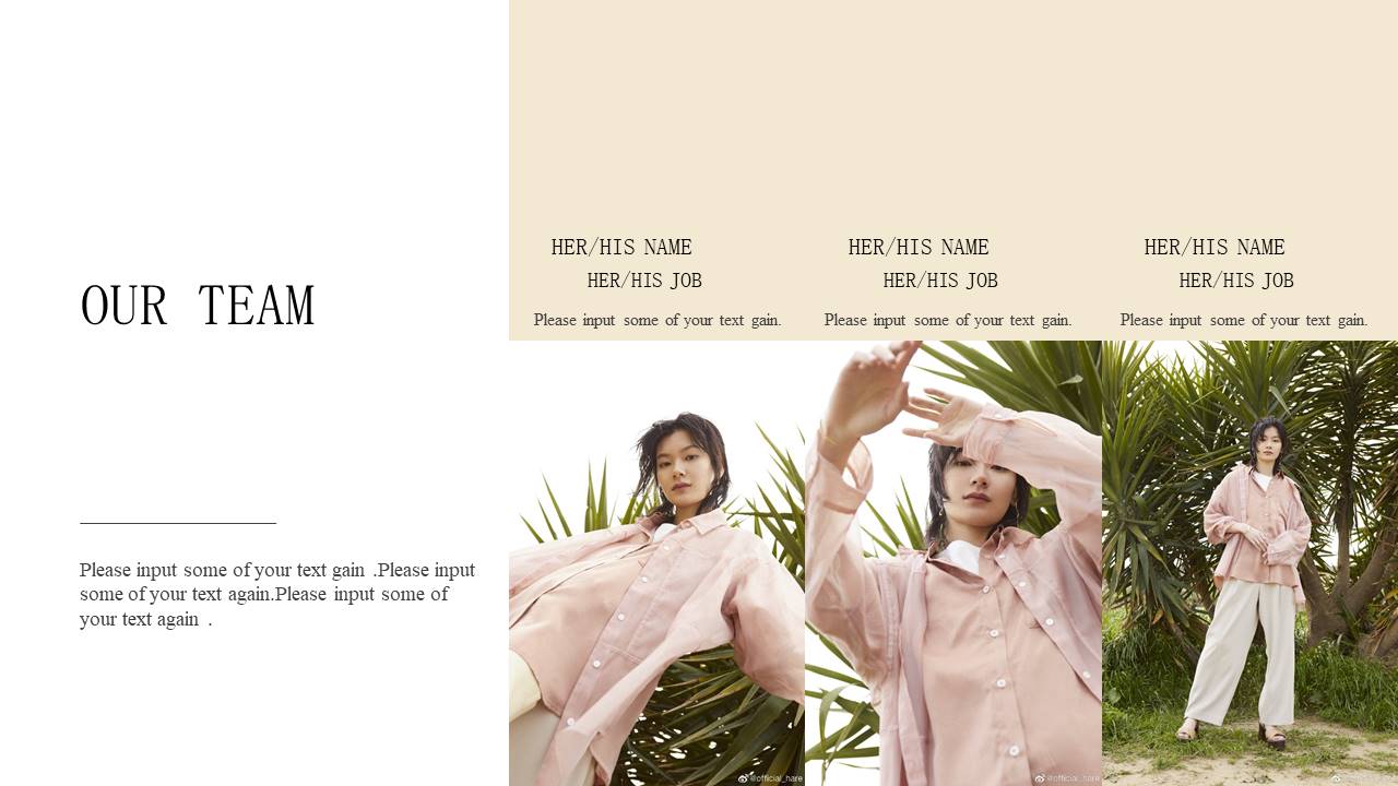 时尚风格 (38).pptx